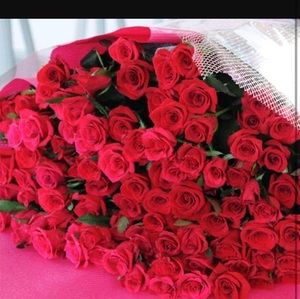 Meet your Posher, Ali